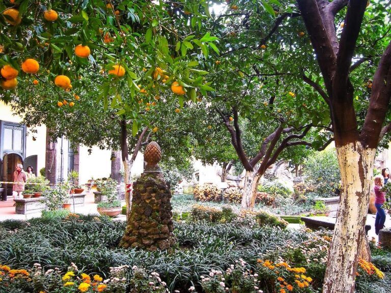 orange trees in san gregorio armeno