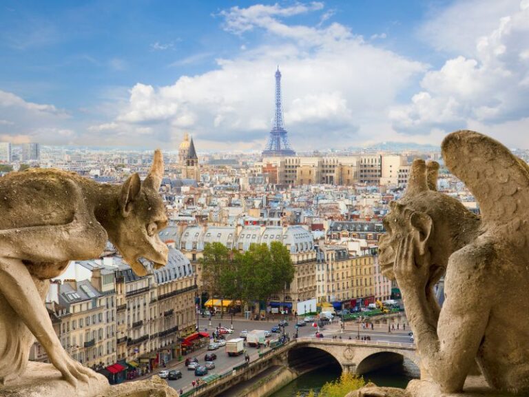 the gargoyle of notre dame in paris