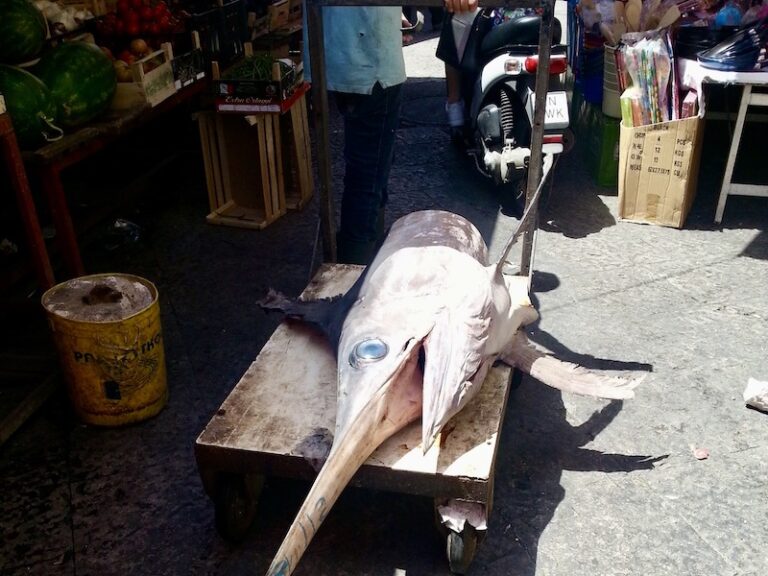 ballaro market is a must visit in palermo