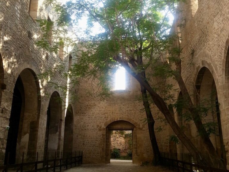 santa maria dello spasimo in palermo