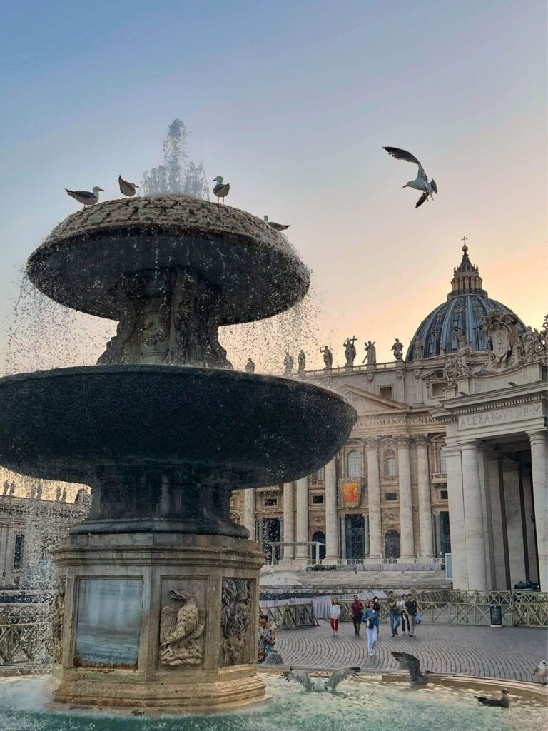 birds fly over st. peter's square with fountains in the foreground