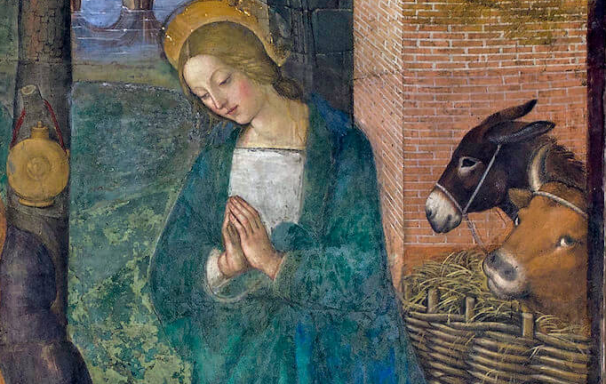 animals in pinturicchio's nativity at santa maria del popolo