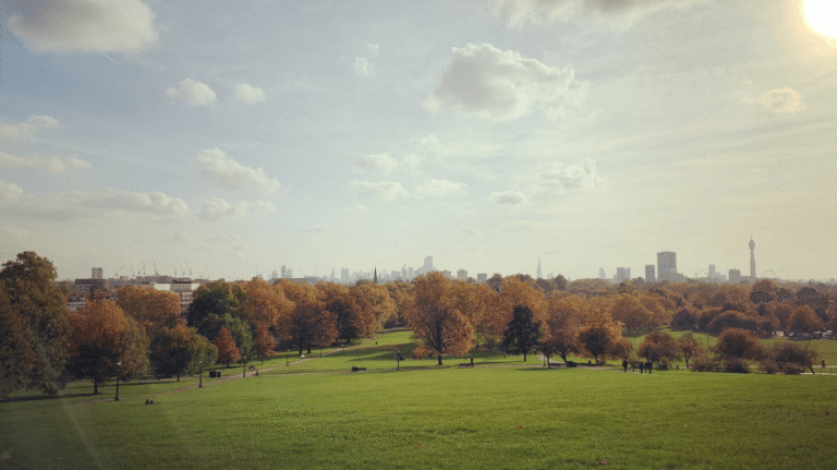 primrose hill in london