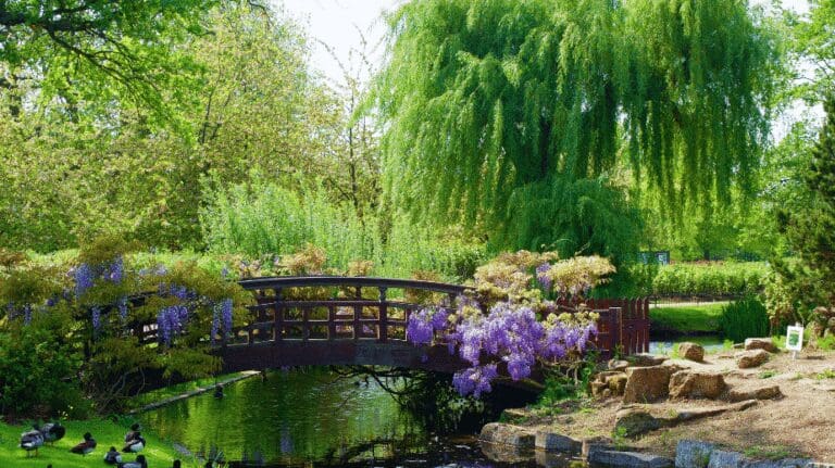 Regent’s Park in london