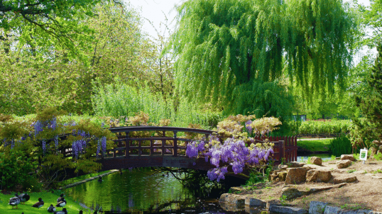 Regent’s Park in london