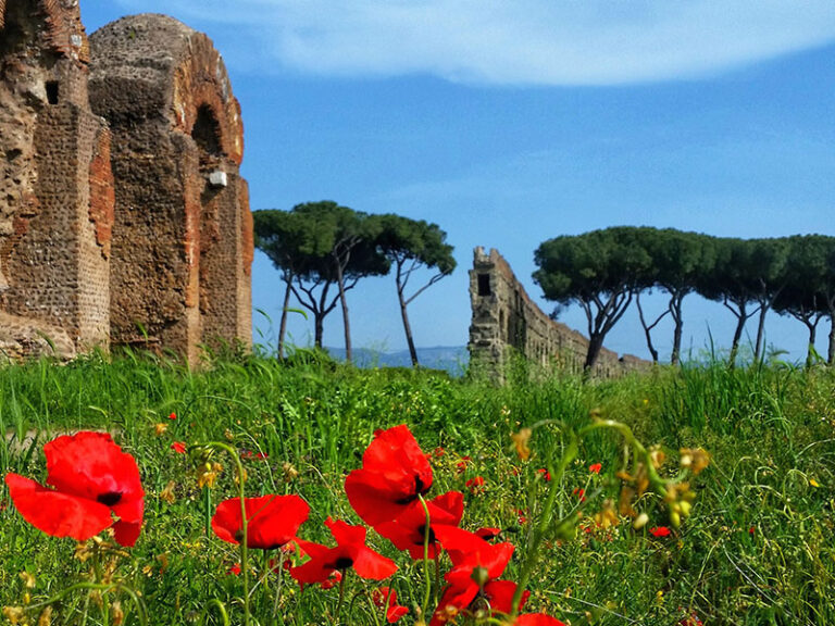 Rome aqueducts spring poppies and trees