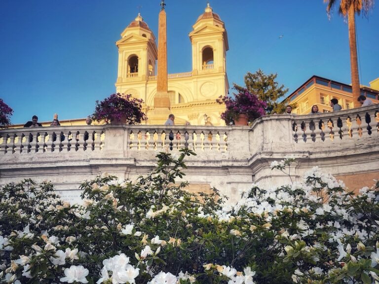 Azaleas on the Spanish Steps
