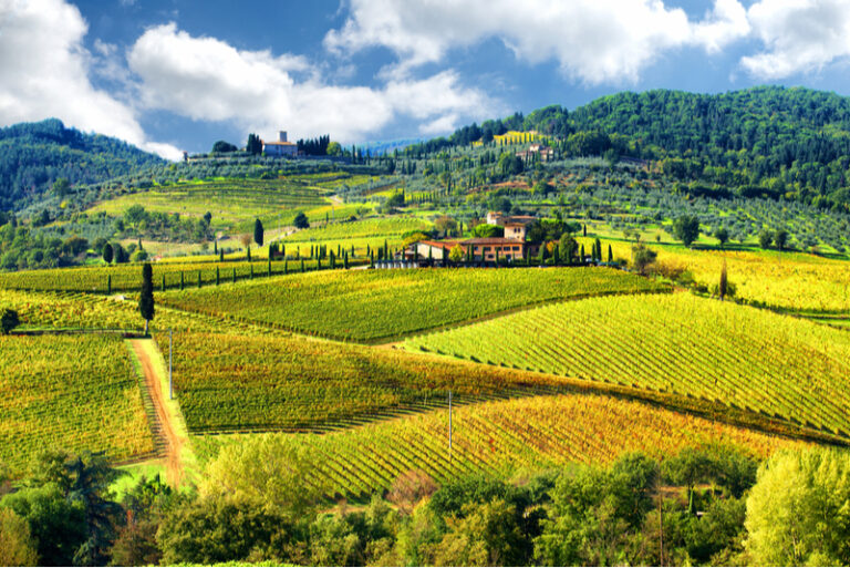the marvellous rolling countryside of chianti is perfect for hiking