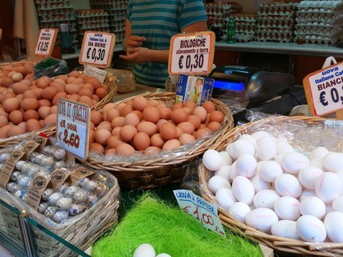 Trionfale Market Rome eggs