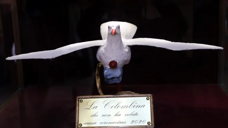 the dove that remained unused from the 2020 scoppio del carro
