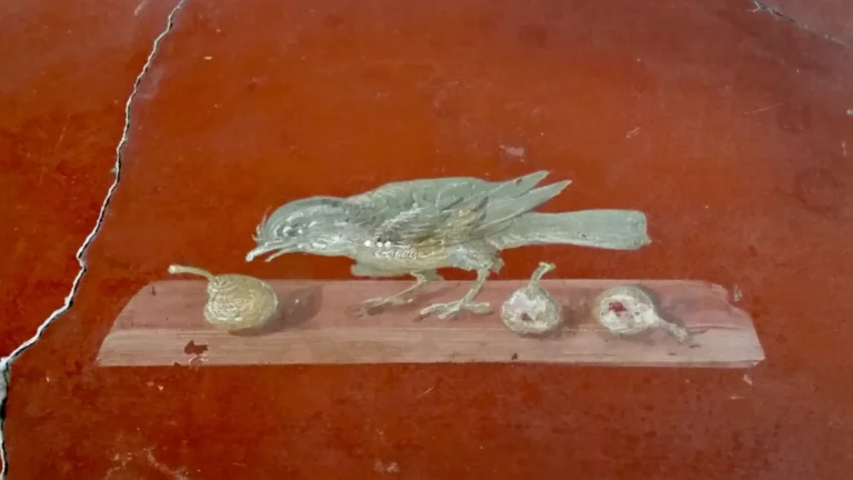 the famous roman mosaic of a bird from oplontis