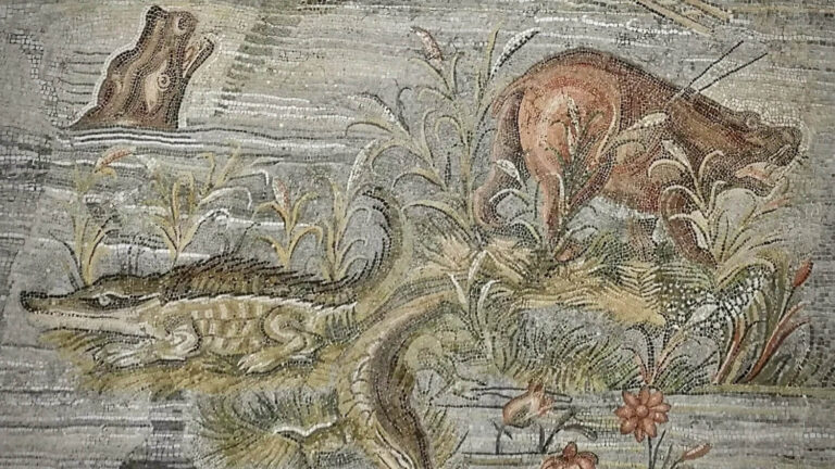 a detail from the palestrina nile mosaic showing a hippo and crocodile
