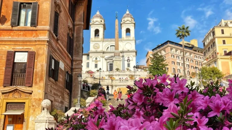 a view of the azaleas on the spanish steps in rome from piazza di spagna