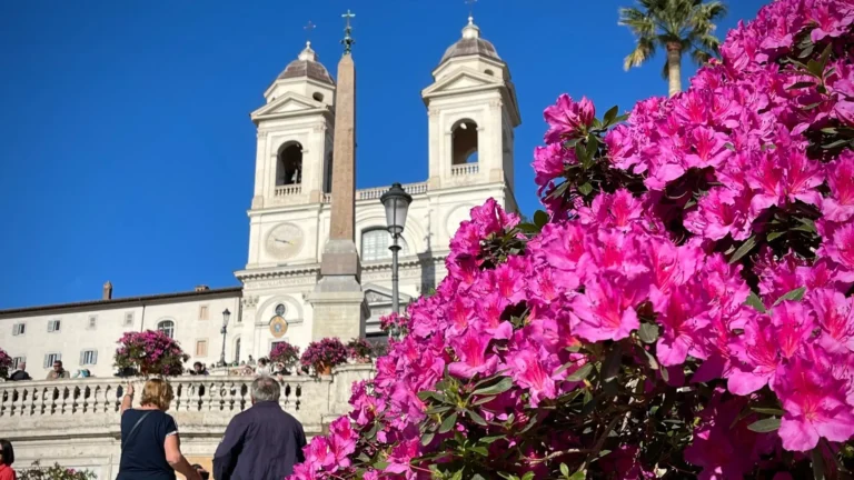azaleas on the spanish steps in rome in spring