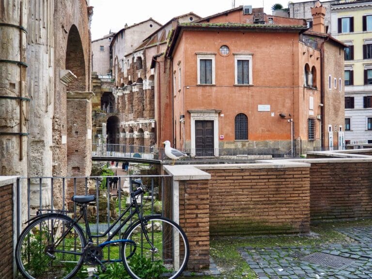 a bicycle and a seagull side by side in the Jewish Ghetto